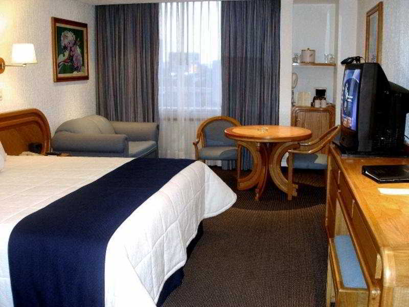 Royal Pedregal Hotel Mexico City Exterior photo A typical hotel room